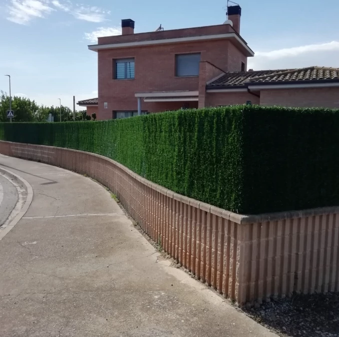 Seto Garden gran poder de ocultación y alta calidad Seto Garden gran poder de ocultación y alta calidad