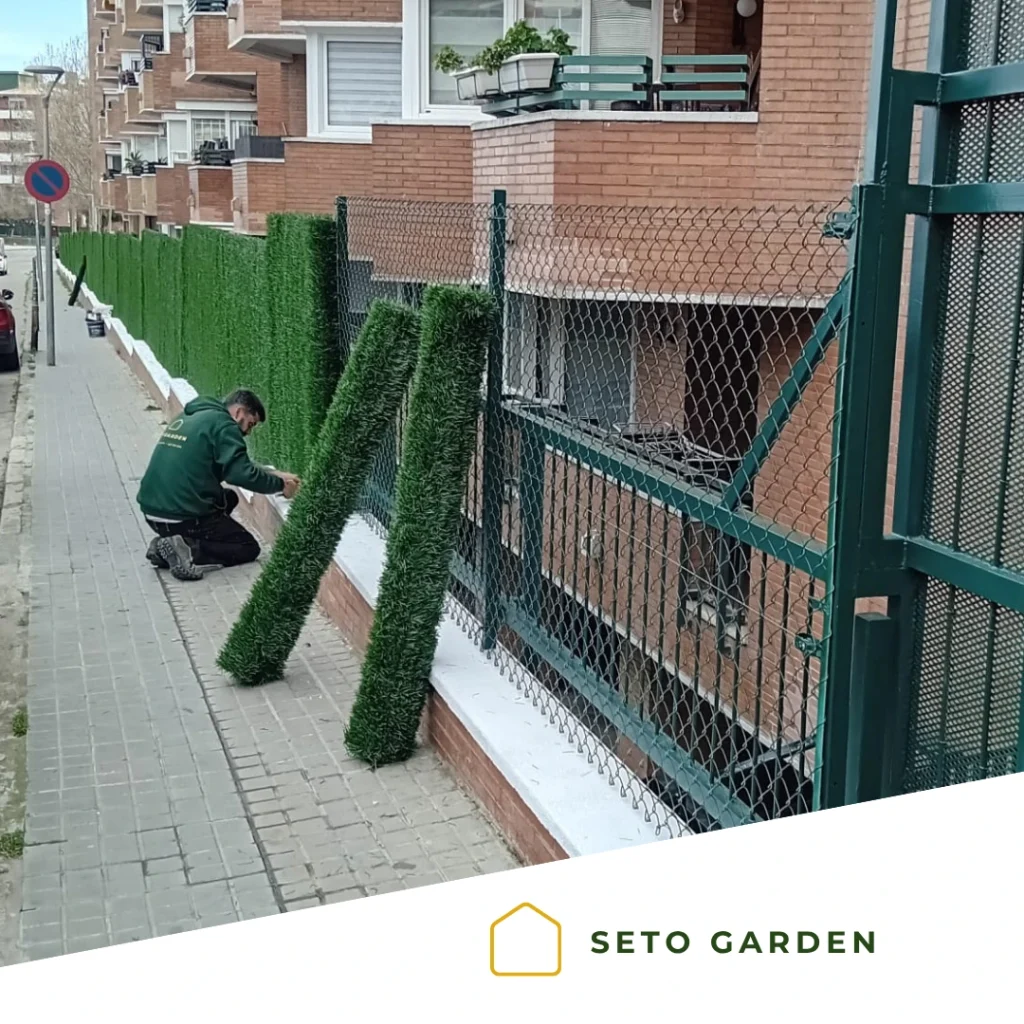 Seto artificial o brezo natural: ¿Cuál elegir? ¿Cuál es mejor para una valla?